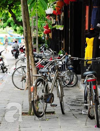 Bạn có thể thuê xe đạp với giá rất mềm, hoặc nhiều khách sạn cho khách mượn xe miễn phí.