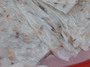 Bánh tráng Hội An -Tui Blue Nam Hoi An