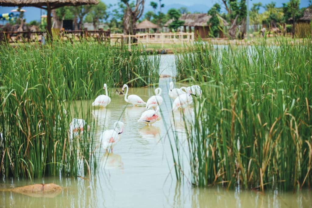 Công viên trên sông bảo tồn hơn 42.000 động vật hoang dã tại Quảng Nam