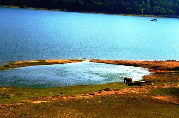 Những bãi bồi nổi lên giữa hồ nước- Ảnh: LÊ TRUNG