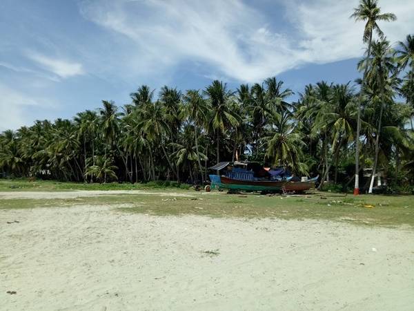 Hàng dừa xiêm ôm ấp hai bên bờ cát, tạo nên vẻ đẹp rất riêng cho biển Tam Hải. Đến đây, bạn sẽ được người dân xã đảo đón tiếp với đặc sản nước dừa xiêm mát lành.