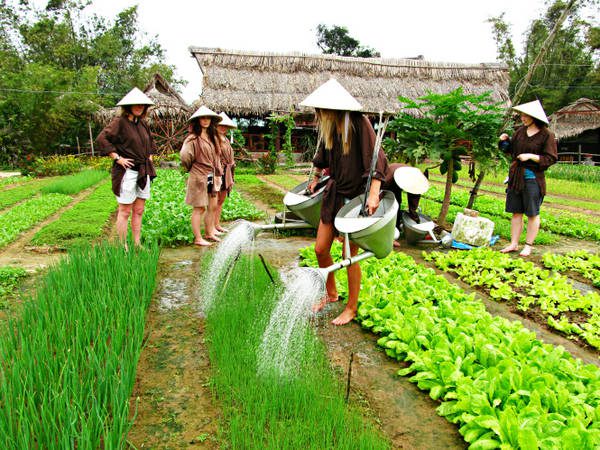 Du khách thích thú với trải nghiệm một ngày làm nông dân ở làng rau Trà Quế. Ảnh: caitlyndebeer.wordpress.com