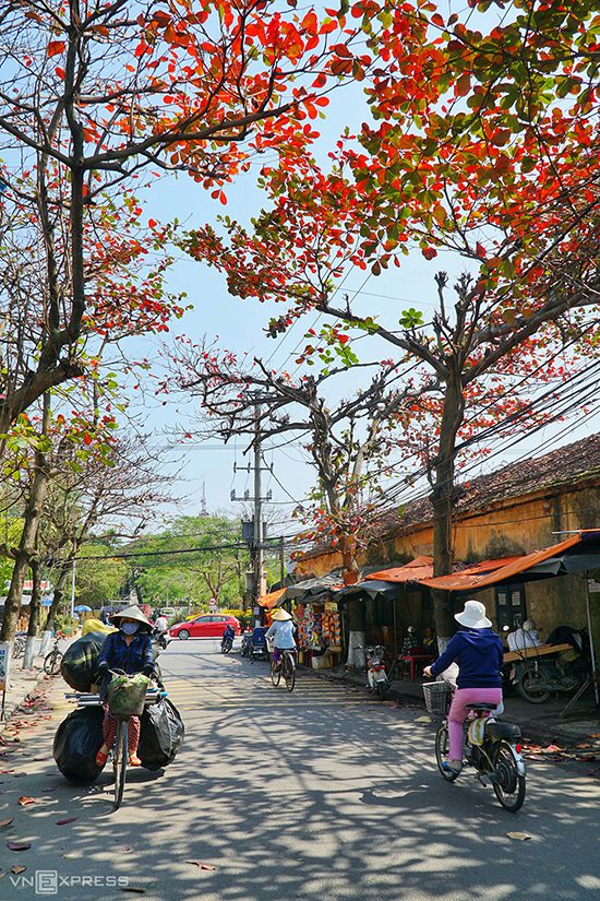 Những cây bàng thay lá hai bên đường Thái Phiên. Những căn nhà dọc trục đường chính là bộ mặt của phố hội, trong khi các góc nhỏ rêu phong trong hẻm được ví như trái tim của khu phố.