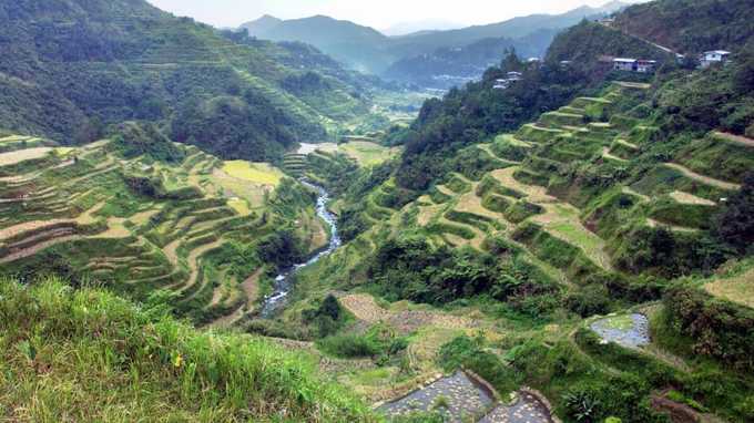 Ruộng bậc thang vùng Cordillera, Philippines Hơn 2.000 năm qua, người dân tộc Ifugao ở Cordillera, Philippines đã trồng lúa trên những thửa ruộng bậc thang. Tuy nhiên, nhiệt độ tăng lên và lượng mưa ngày càng nhiều đang ảnh hưởng đến việc canh tác. Ngoài ra, các cơn bão mạnh sẽ làm giảm độ ổn định của các thửa ruộng, gây xói mòn, lở đất.
