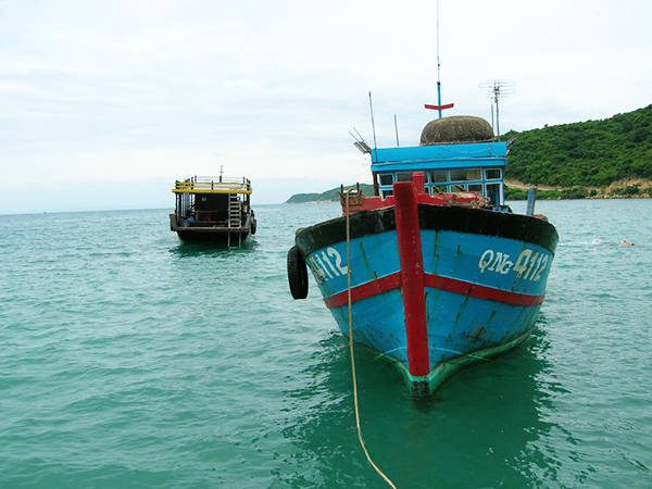 Những chiếc thuyền chở khách du lịch ra thăm Cù Lao