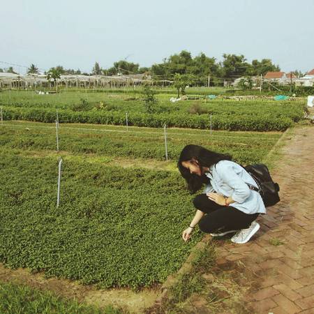 Không gian xanh mát của làng rau sẽ là nơi giúp bạn lưu lại nhiều bức hình đẹp. Ảnh: n_quynhhh/instagram