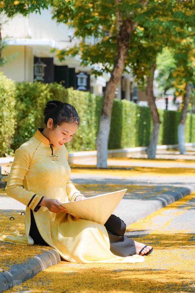 Nữ nhân viên diện áo dài vàng chụp ảnh với khung cảnh hoa sưa rơi theo gió trên phố.