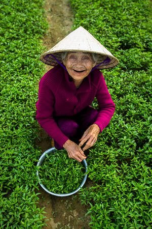 “Tôi luôn bị ấn tượng bởi vẻ đẹp và tinh thần của người phụ nữ Việt Nam. Họ luôn làm việc chăm chỉ và cật lực tại bất cứ đâu, trong bất kỳ hoàn cảnh nào. Tôi muốn tôn vinh những phẩm chất quý giá đó qua các bức ảnh về người phụ nữ Việt được chụp trên khắp mọi miền đất nước”, Réhahn chia sẻ sau hơn 4 năm sinh sống và làm việc tại Hội An.