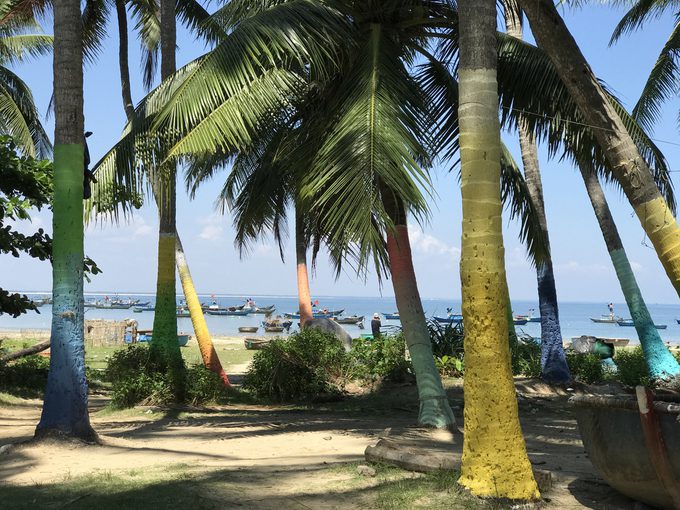 Xã đảo Tam Hải với một mặt giáp sông Trường Giang, 3 mặt giáp biển như một ốc đảo bình yên. Nơi đây còn được gọi với cái tên là đảo dừa vì nổi tiếng với bạt ngàn những hàng dừa xanh mướt mát.